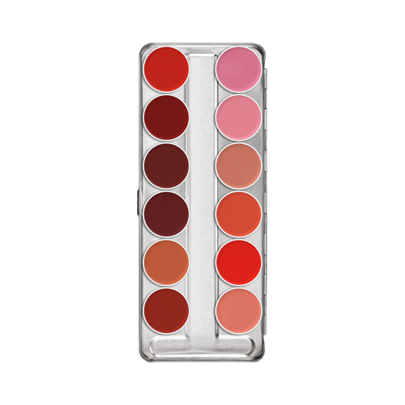 Lip rouge paleta de 12 colores  40 g